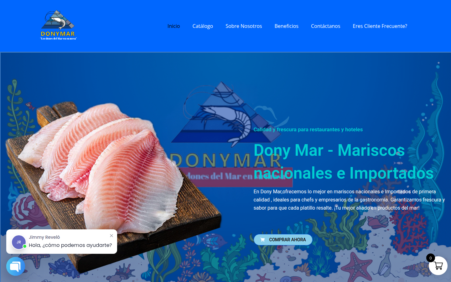 Proyectos de sitios web: diseño web profesional para DonyMar